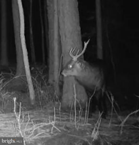 a view of outdoor space with seating