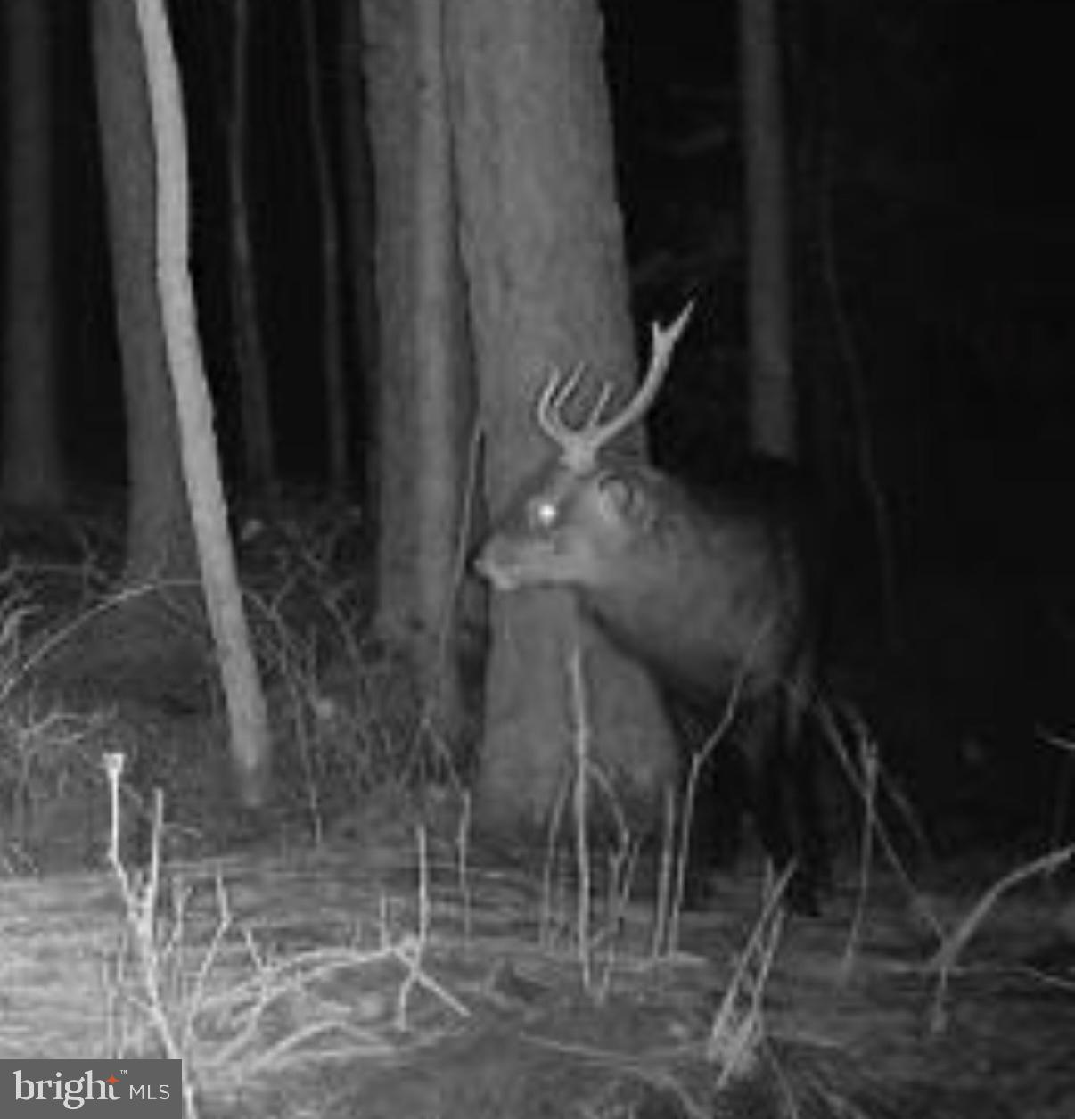 7 Muddy Hole Road Tyaskin, MD 21865 - Photo 14 of 96