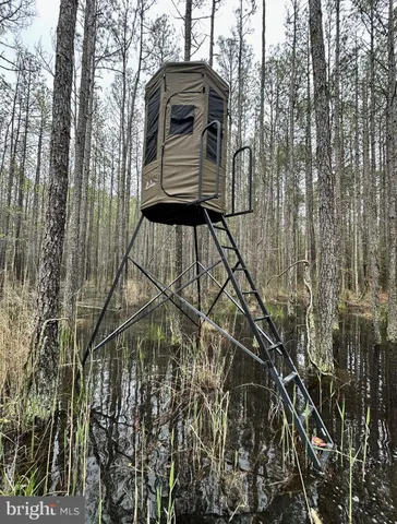 a view of a interior of the house