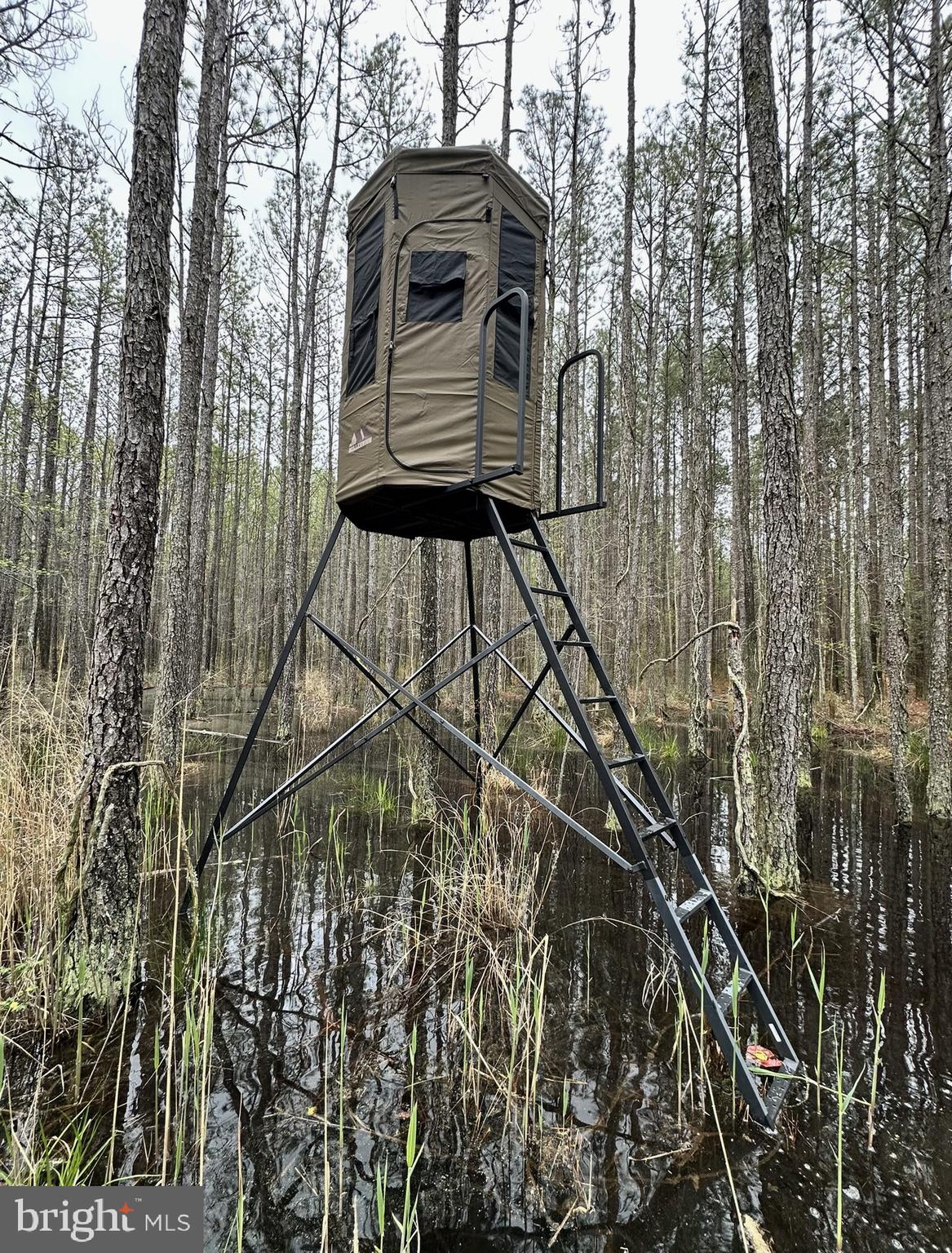 7 Muddy Hole Road Tyaskin, MD 21865 - Photo 15 of 96