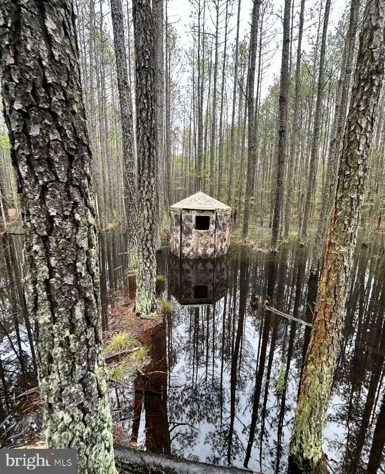 7 Muddy Hole Road Tyaskin, MD 21865 - Photo 17 of 96