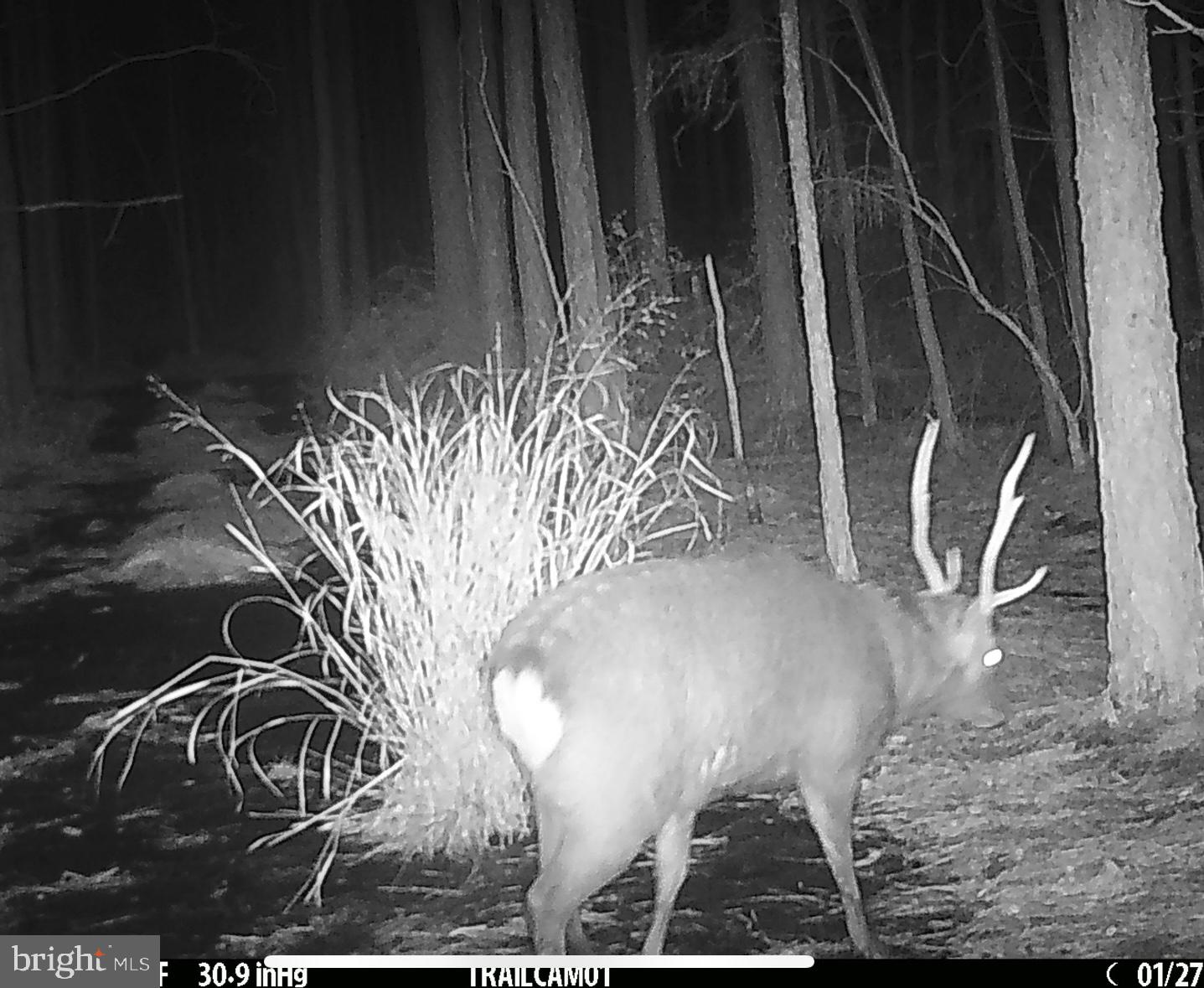 7 Muddy Hole Road Tyaskin, MD 21865 - Photo 18 of 96