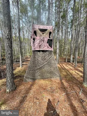 a view of outdoor space yard and patio