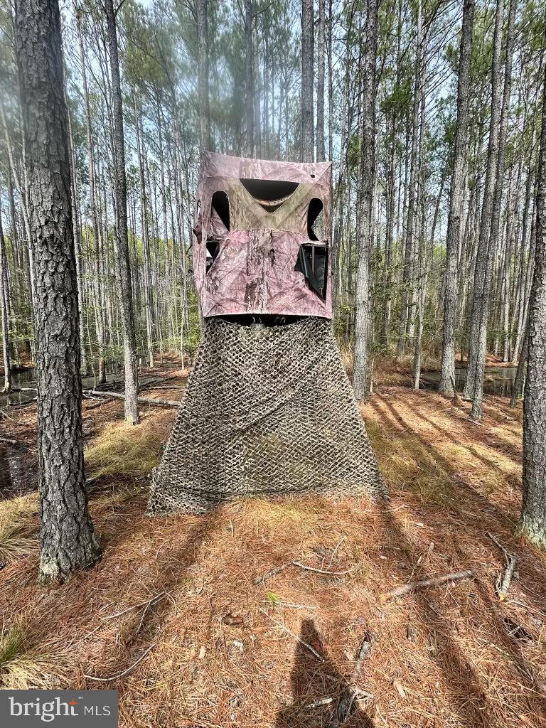 7 Muddy Hole Road Tyaskin, MD 21865 - Photo 19 of 96