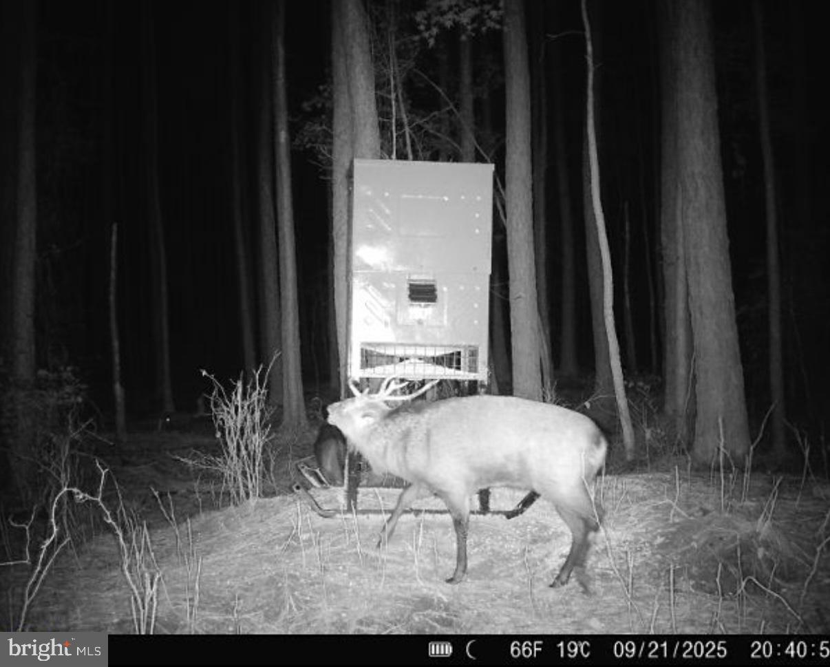 7 Muddy Hole Road Tyaskin, MD 21865 - Photo 20 of 96