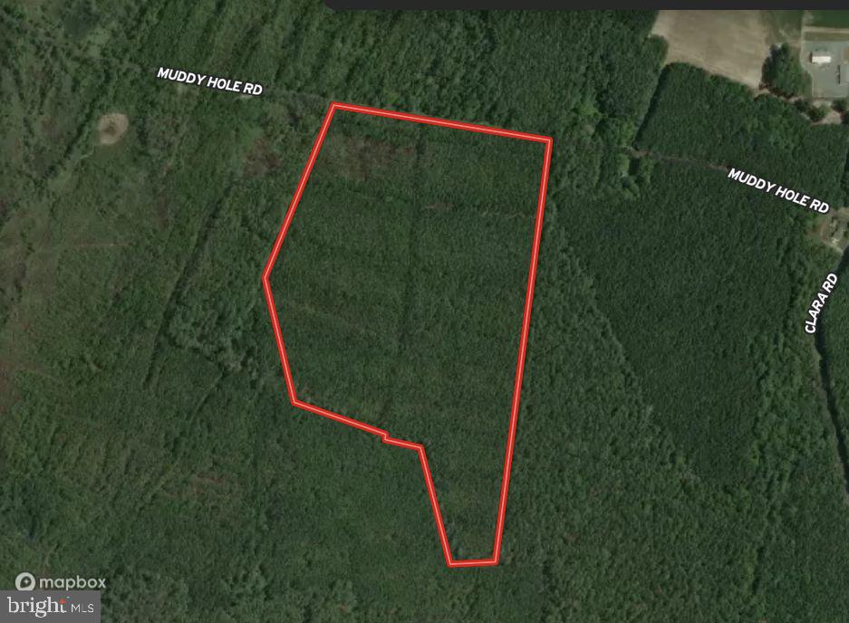 7 Muddy Hole Road Tyaskin, MD 21865 - Photo 2 of 96