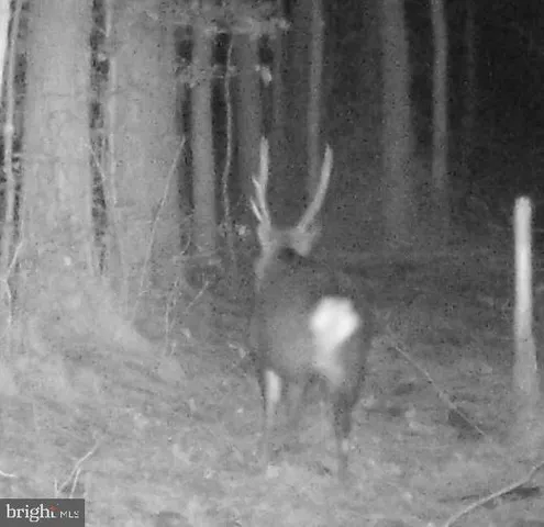 a view of a room with shelves