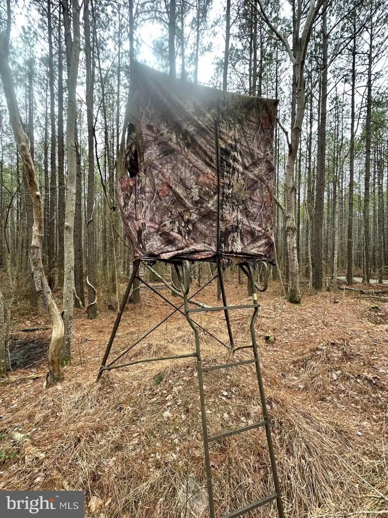 7 Muddy Hole Road Tyaskin, MD 21865 - Photo 23 of 96