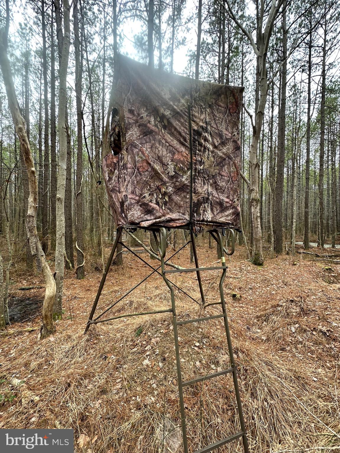 7 Muddy Hole Road Tyaskin, MD 21865 - Photo 27 of 96