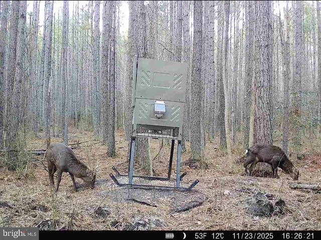 a view of outdoor space