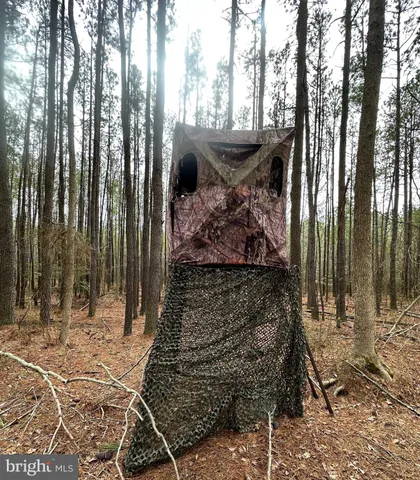 a view of a backyard with lawn chairs