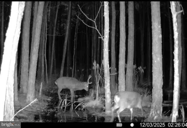 a view of an outdoor space