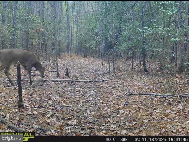 a dining room with table and chairs