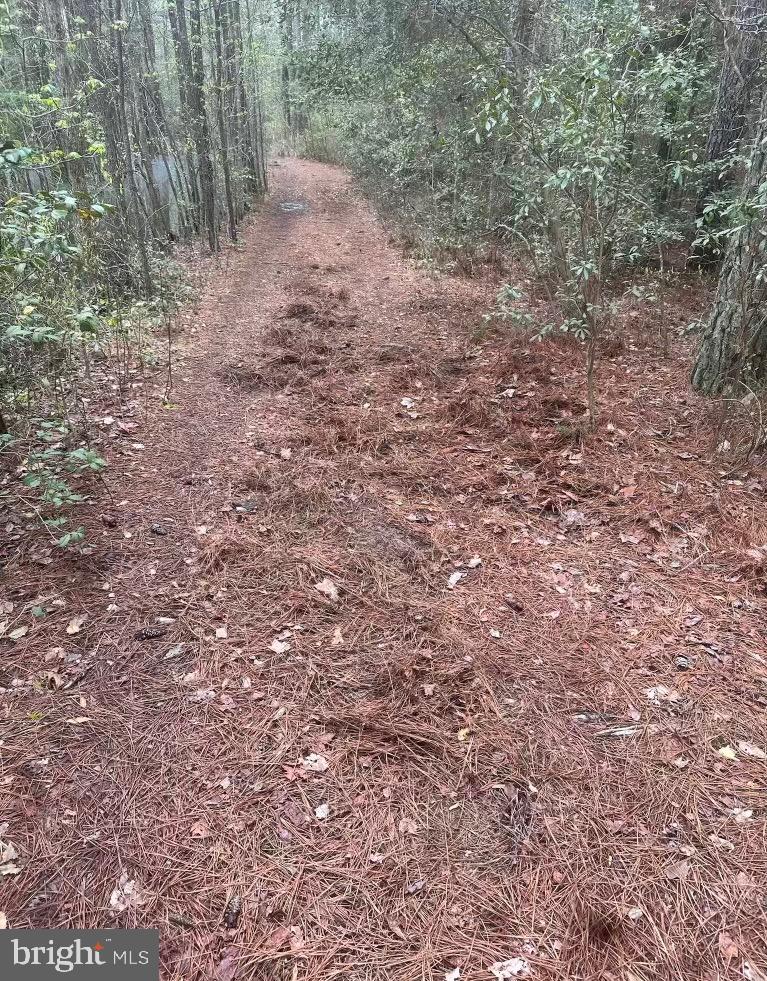 7 Muddy Hole Road Tyaskin, MD 21865 - Photo 36 of 96