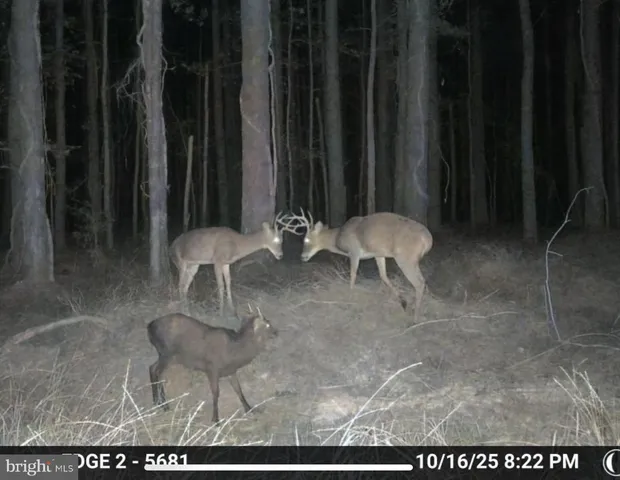 a view of living room filled with furniture and floor to ceiling window