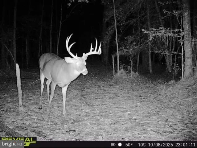 a view of living room filled with furniture and a potted plant