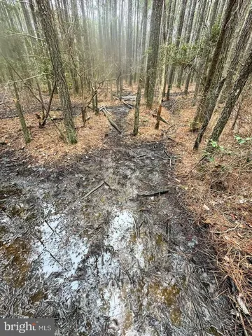 a view of a porch with furniture and a yard