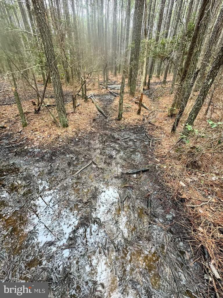 7 Muddy Hole Road Tyaskin, MD 21865 - Photo 39 of 96