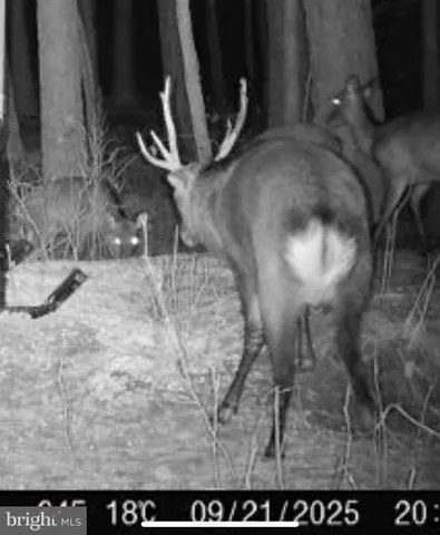 a view of a table and chairs in the patio