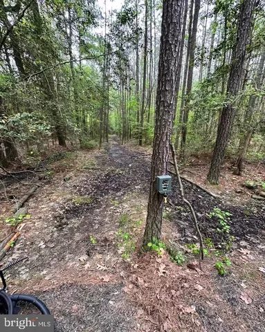 a view of a large yard with lots of green space and a fountain