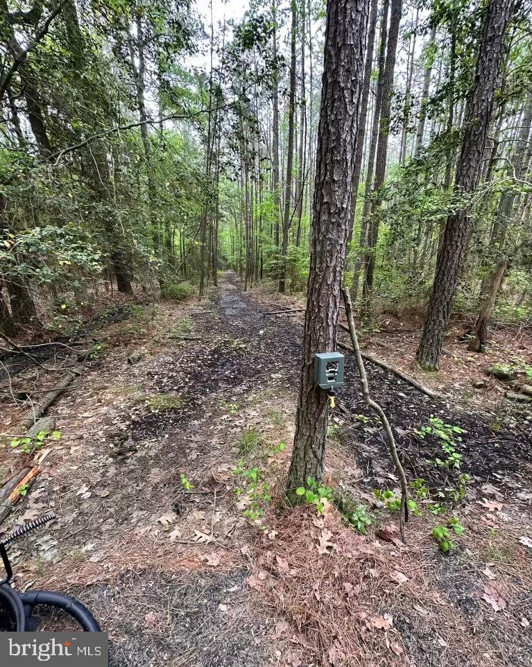 7 Muddy Hole Road Tyaskin, MD 21865 - Photo 45 of 96