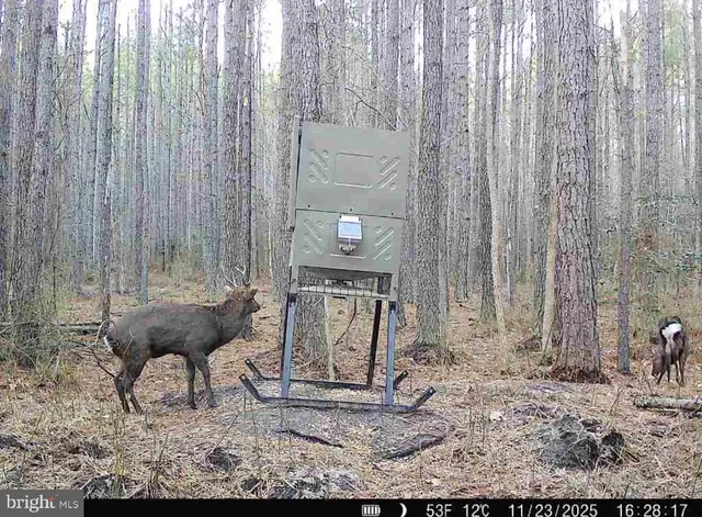a view of a walk in closet