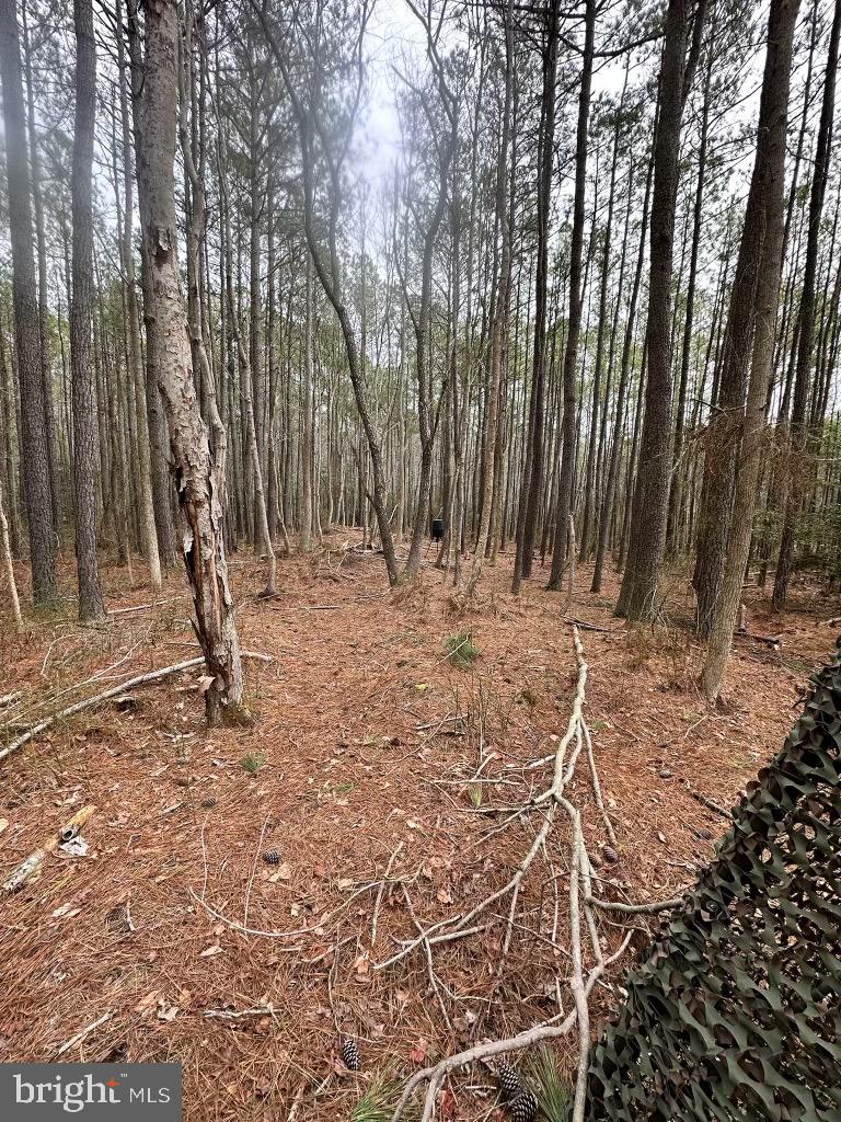 7 Muddy Hole Road Tyaskin, MD 21865 - Photo 49 of 96