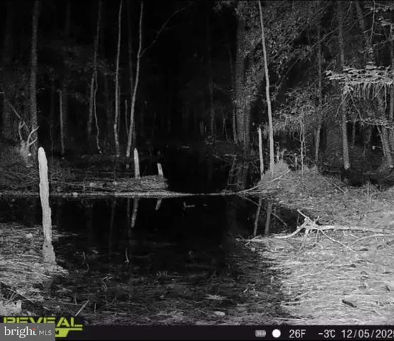 a car parked in front of a house