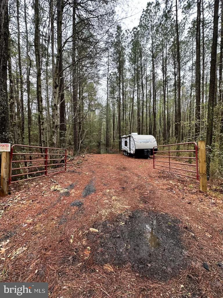 7 Muddy Hole Road Tyaskin, MD 21865 - Photo 5 of 96