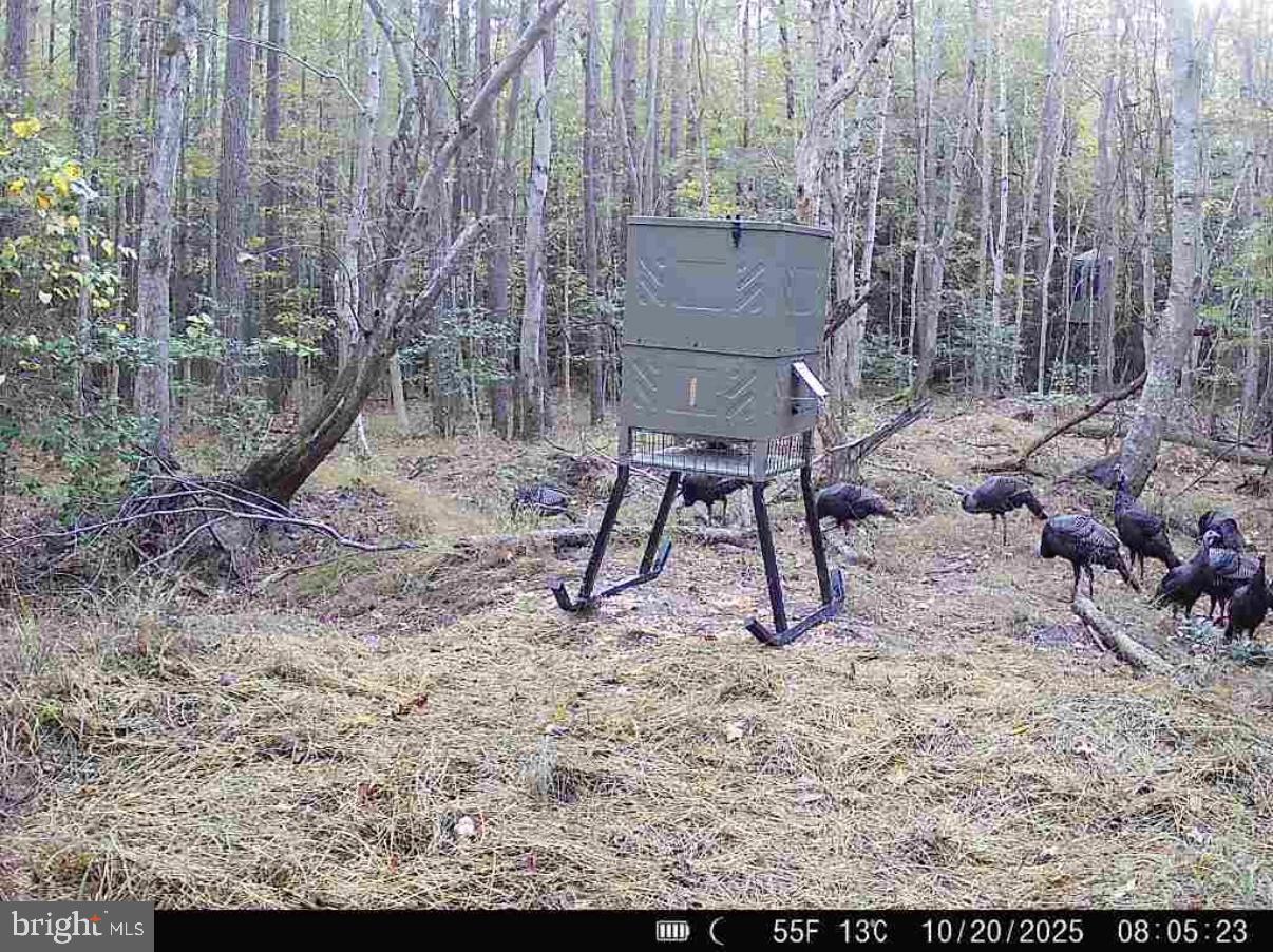 7 Muddy Hole Road Tyaskin, MD 21865 - Photo 51 of 96