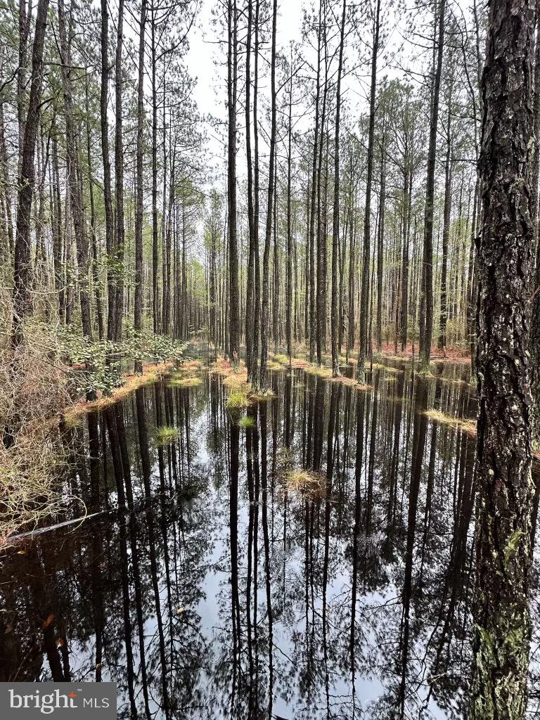 7 Muddy Hole Road Tyaskin, MD 21865 - Photo 52 of 96