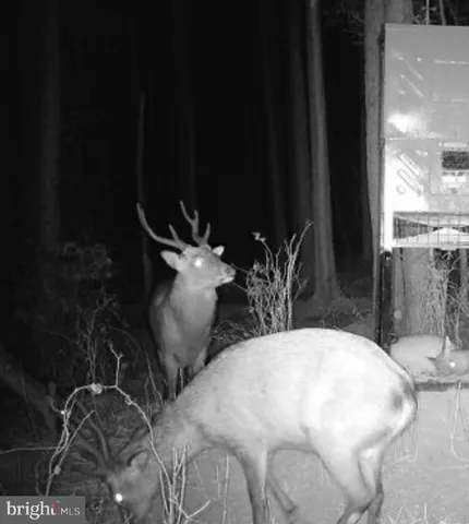 $199,000 | 7 Muddy Hole Road, Tyaskin, MD 21865