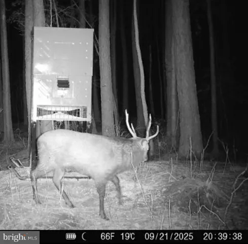 $199,000 | 7 Muddy Hole Road, Tyaskin, MD 21865