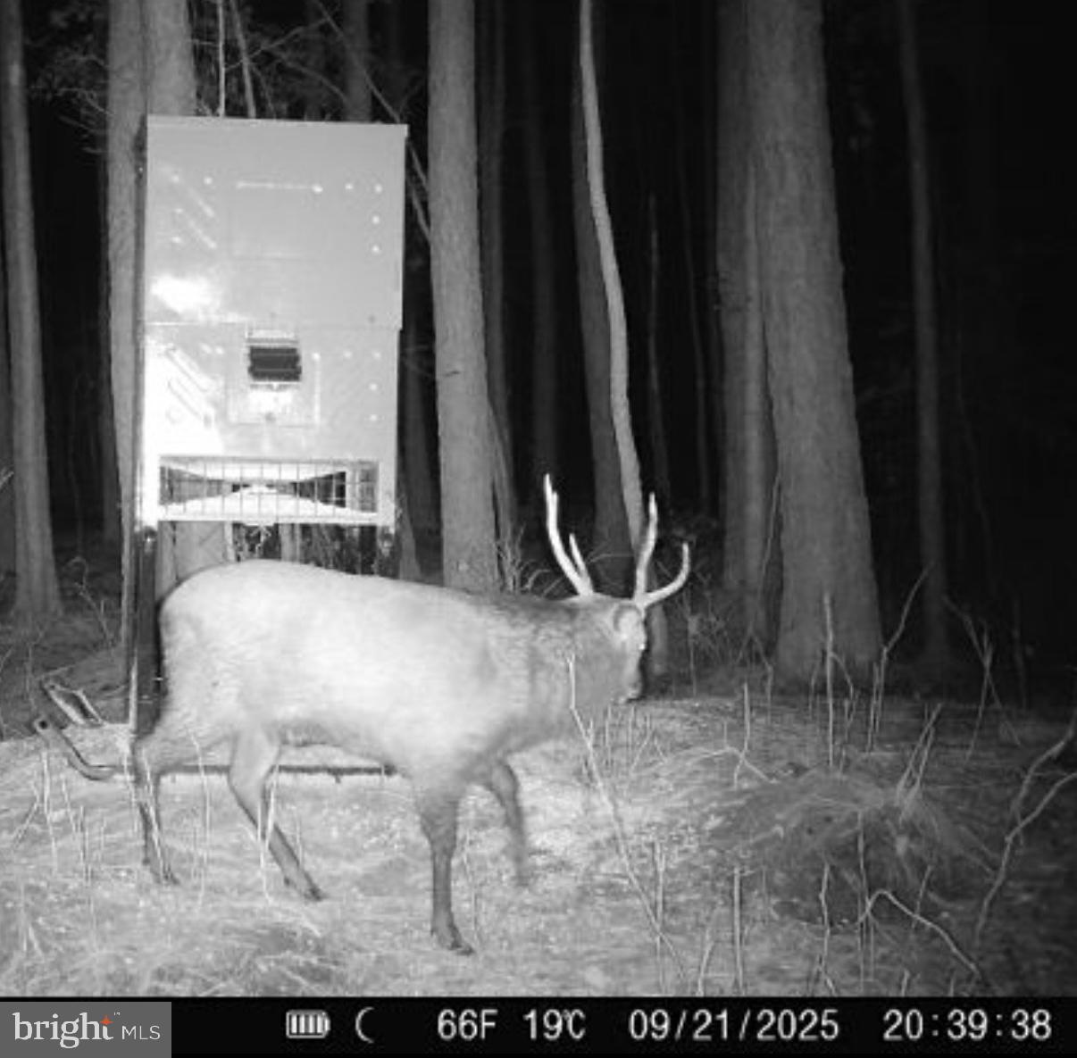 7 Muddy Hole Road Tyaskin, MD 21865 - Photo 59 of 96