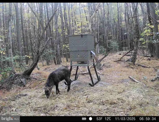 $199,000 | 7 Muddy Hole Road, Tyaskin, MD 21865