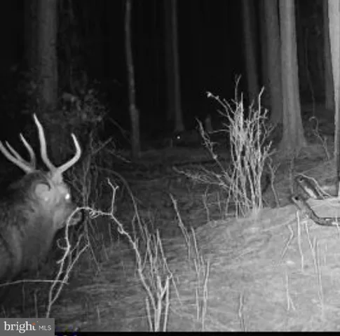 a view of backyard with table and chairs and wooden fence