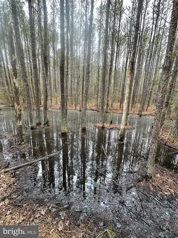 $199,000 | 7 Muddy Hole Road, Tyaskin, MD 21865