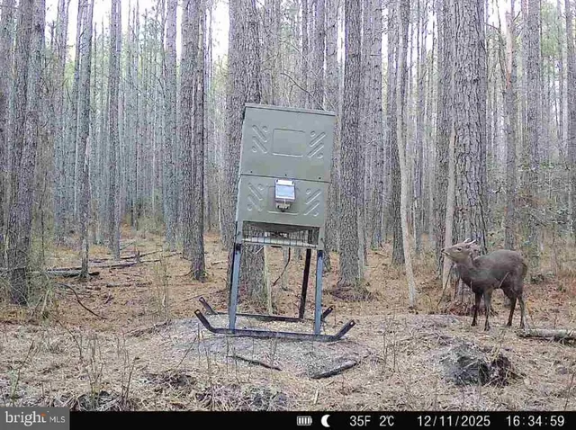 $199,000 | 7 Muddy Hole Road, Tyaskin, MD 21865