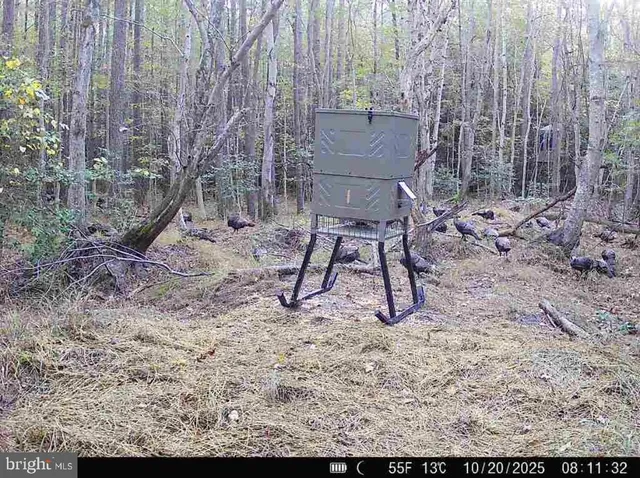 $199,000 | 7 Muddy Hole Road, Tyaskin, MD 21865