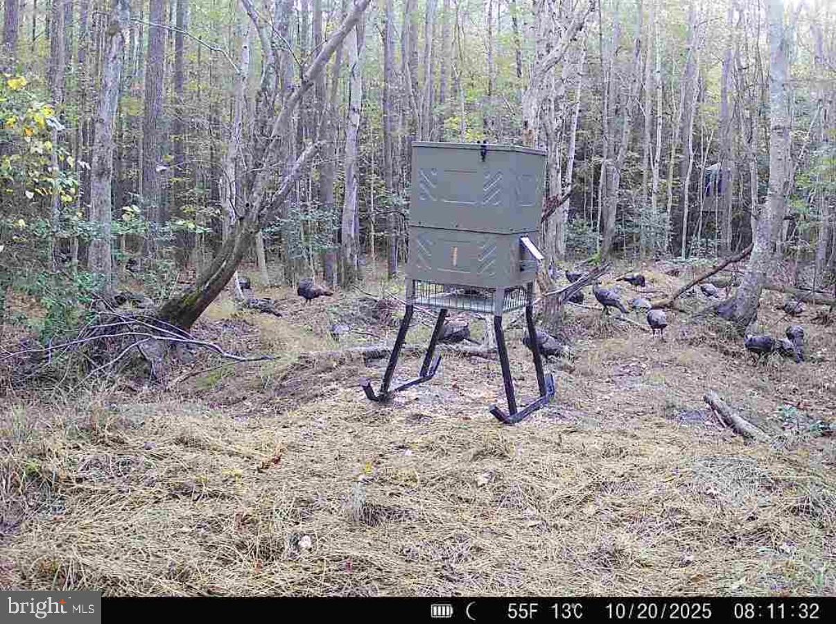 7 Muddy Hole Road Tyaskin, MD 21865 - Photo 64 of 96