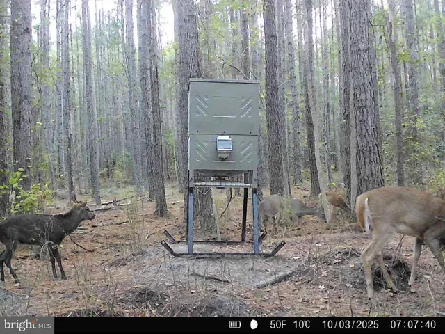 $199,000 | 7 Muddy Hole Road, Tyaskin, MD 21865