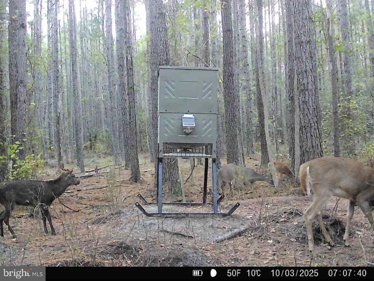 7 Muddy Hole Road Tyaskin, MD 21865 - Photo 65 of 96