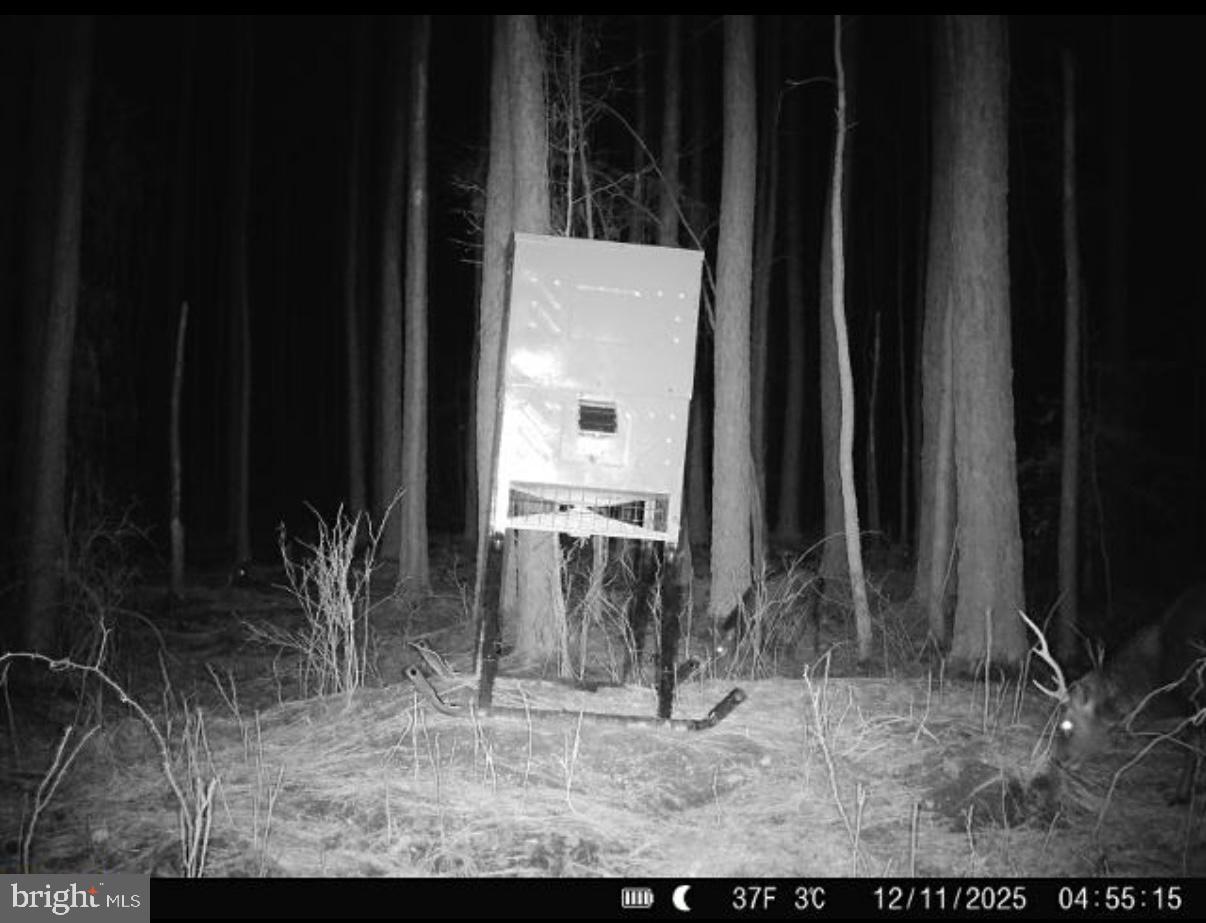 7 Muddy Hole Road Tyaskin, MD 21865 - Photo 66 of 96