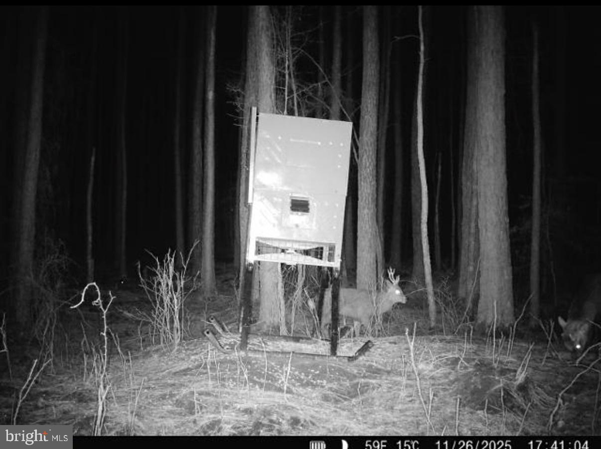 7 Muddy Hole Road Tyaskin, MD 21865 - Photo 67 of 96