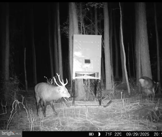 $199,000 | 7 Muddy Hole Road, Tyaskin, MD 21865