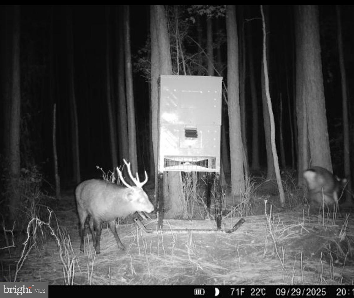 7 Muddy Hole Road Tyaskin, MD 21865 - Photo 70 of 96