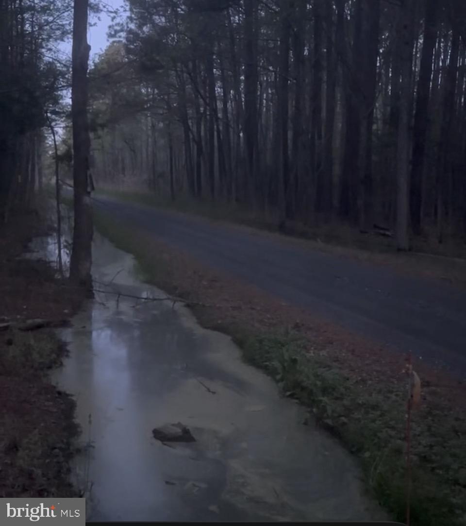 7 Muddy Hole Road Tyaskin, MD 21865 - Photo 7 of 96