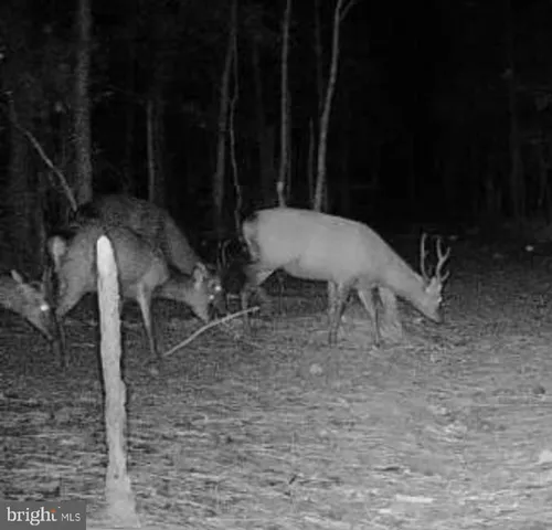 $199,000 | 7 Muddy Hole Road, Tyaskin, MD 21865