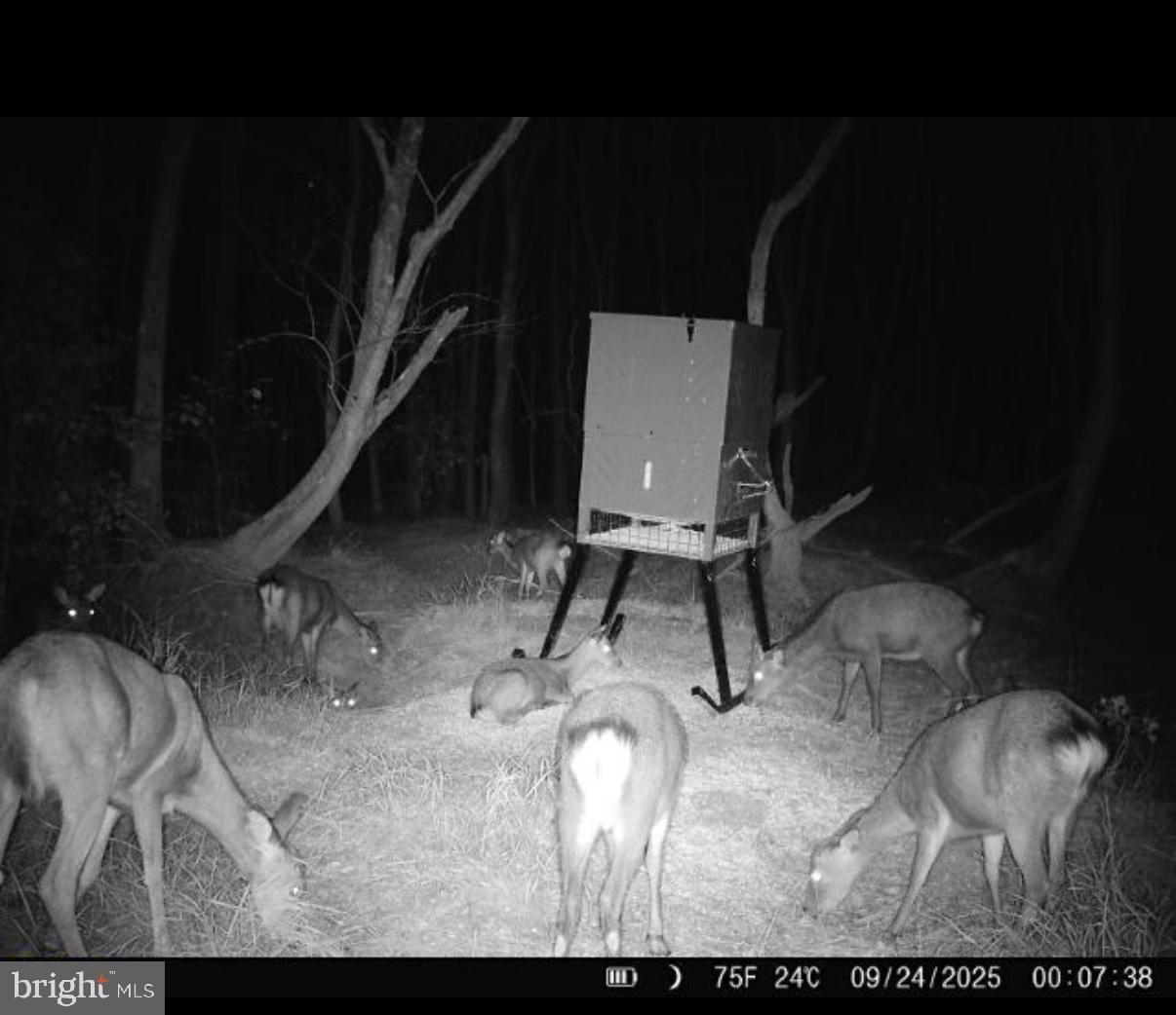 7 Muddy Hole Road Tyaskin, MD 21865 - Photo 72 of 96