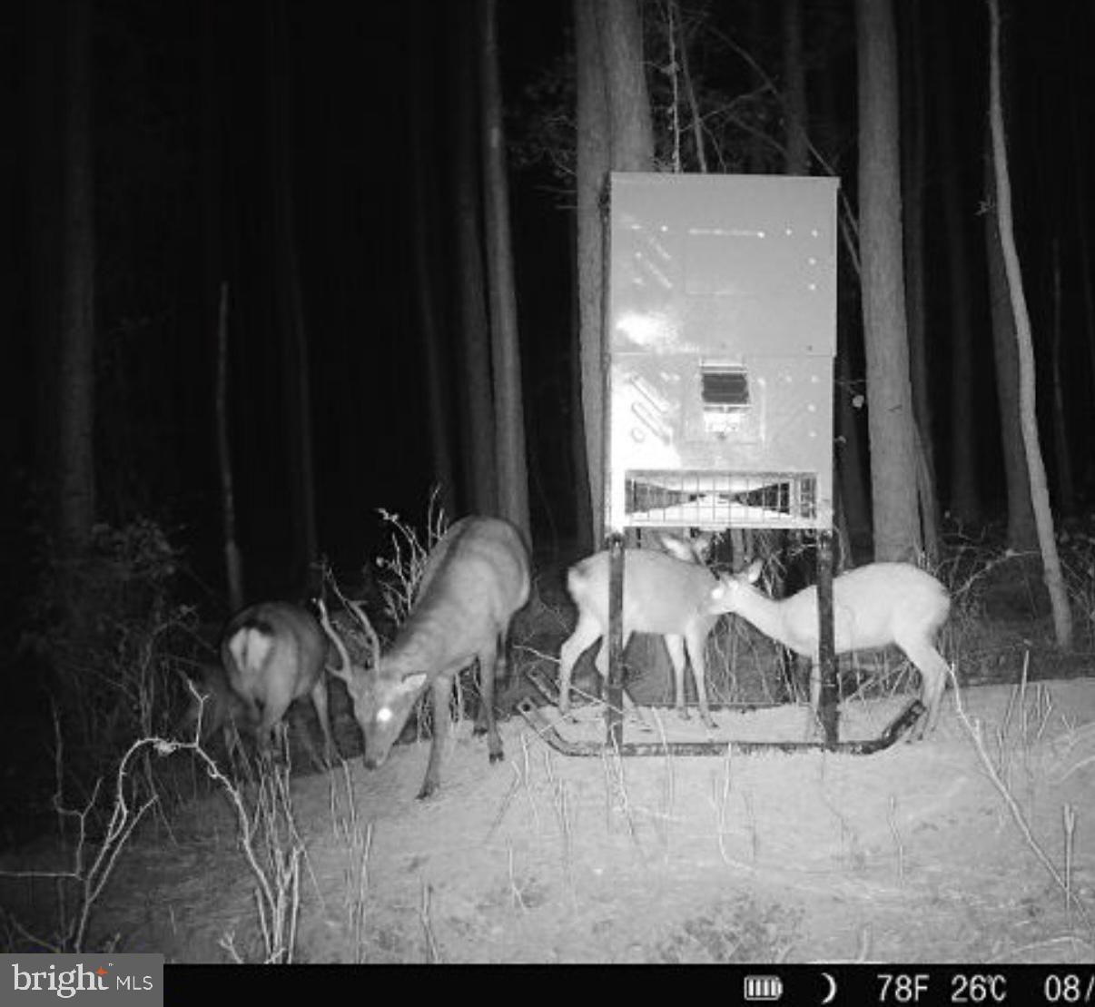 7 Muddy Hole Road Tyaskin, MD 21865 - Photo 73 of 96